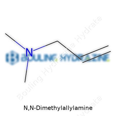 N,N-Dimethylallylamine